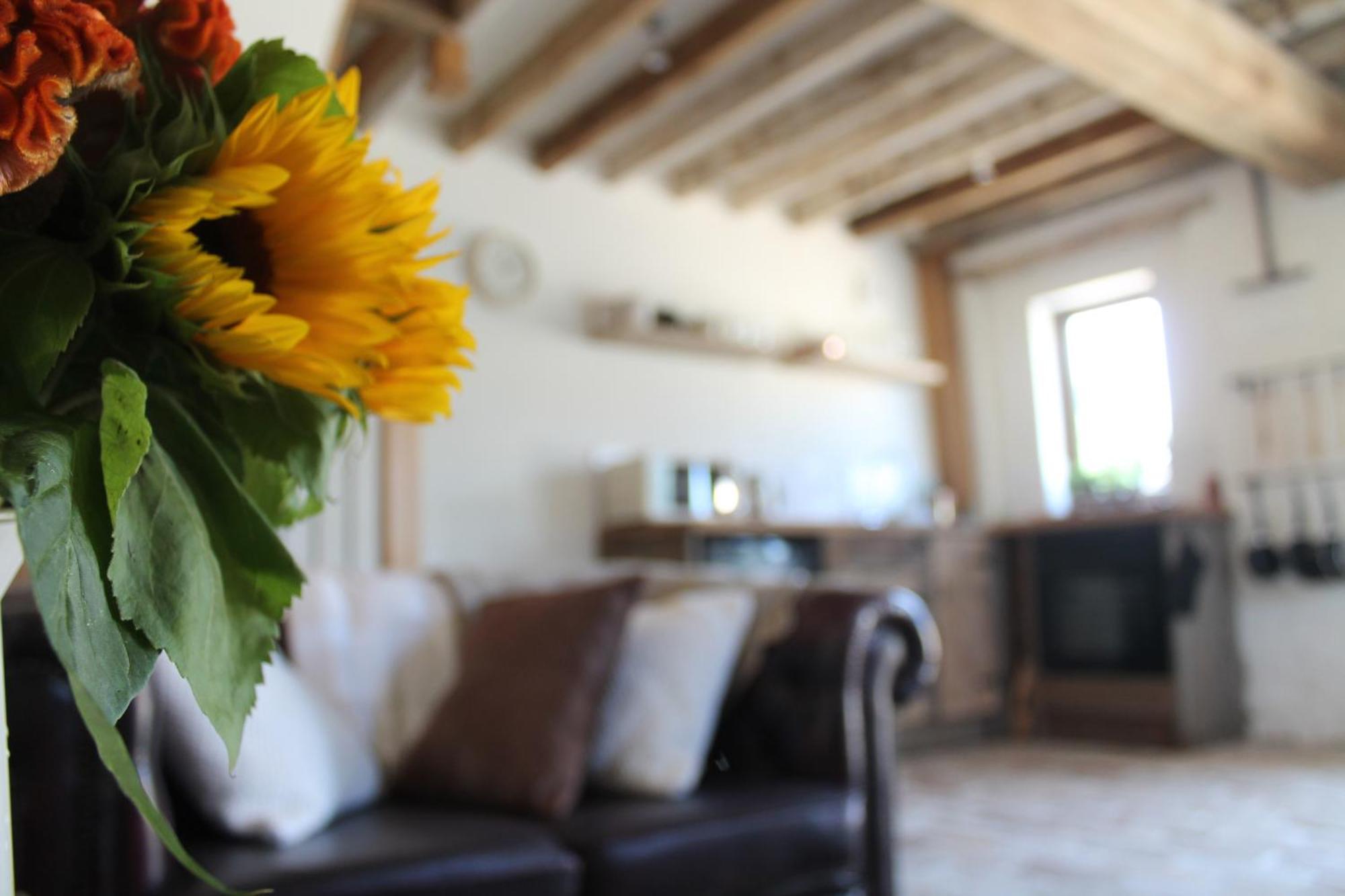 The Dovecote - Unique Self-Contained 1Bed Renovated Barn Villa Saffron Walden Exterior foto